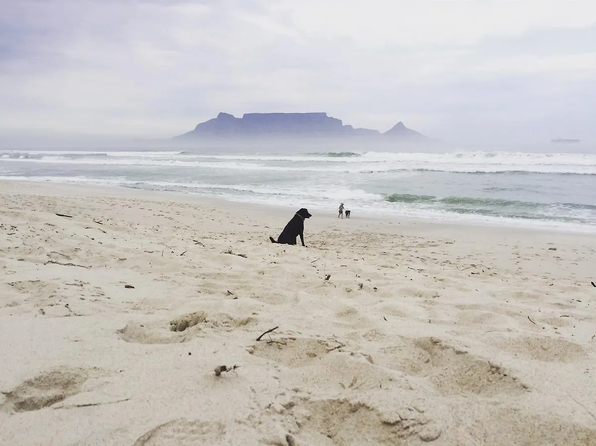 Ferienhaus Villa Fairhaven Beachhouse & Pool Blouberg Seaside Bloubergstrand